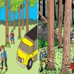 Direktur PT BMC Ditangkap Terkait Kayu Ilegal Papua, DPN FAMI Direktur PT BMC Ditangkap Terkait Kayu Ilegal Papua, DPN FAMI